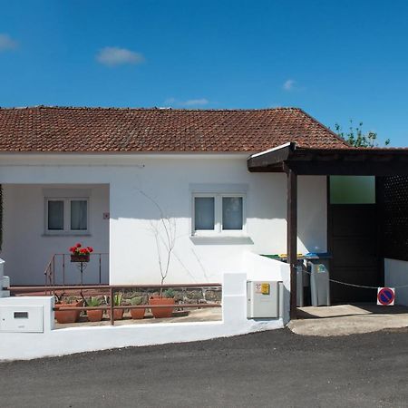 Casa Do Carvalhal - Natureza No Centro Da Cidade Pensionat Santa Maria da Feira Eksteriør billede
