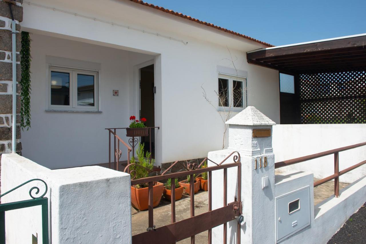 Casa Do Carvalhal - Natureza No Centro Da Cidade Pensionat Santa Maria da Feira Eksteriør billede